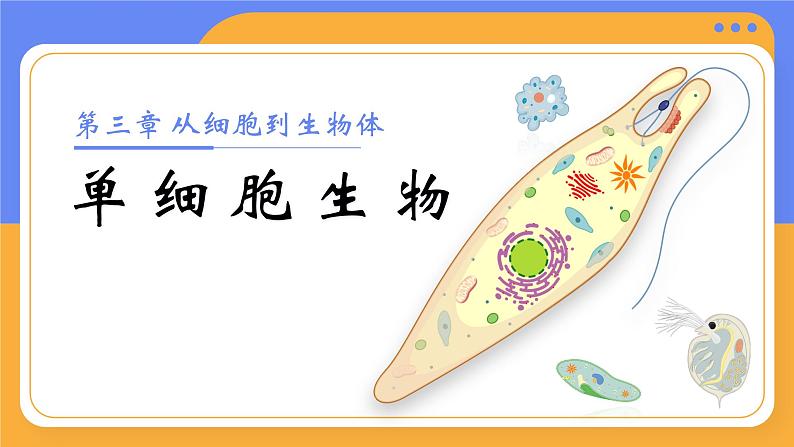 人教版初中生物七上:1.3.4 单细胞生物(教学设计+课件)01