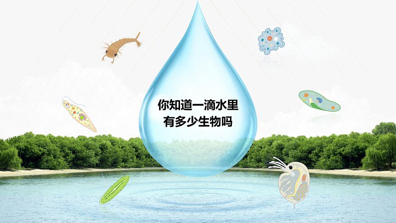 人教版初中生物七上:1.3.4 单细胞生物(教学设计+课件)02