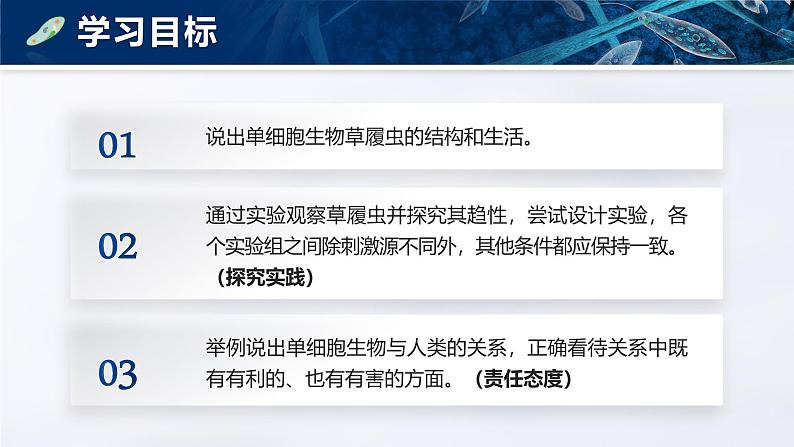 人教版初中生物七上:1.3.4 单细胞生物(教学设计+课件)05