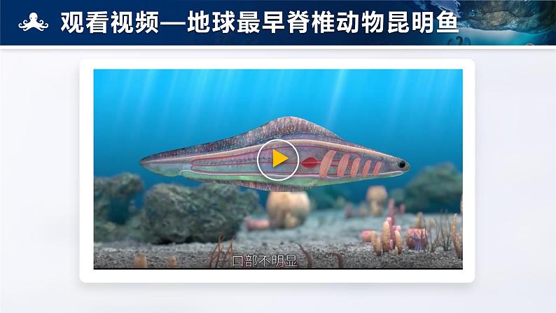 人教版初中生物七上:2.2.1 无脊椎动物(课件)02