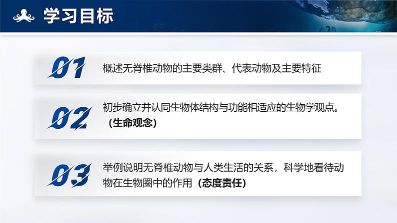人教版初中生物七上:2.2.1 无脊椎动物(课件)03