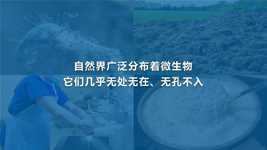 2.3.1 微生物的分布-課件第4頁(yè)