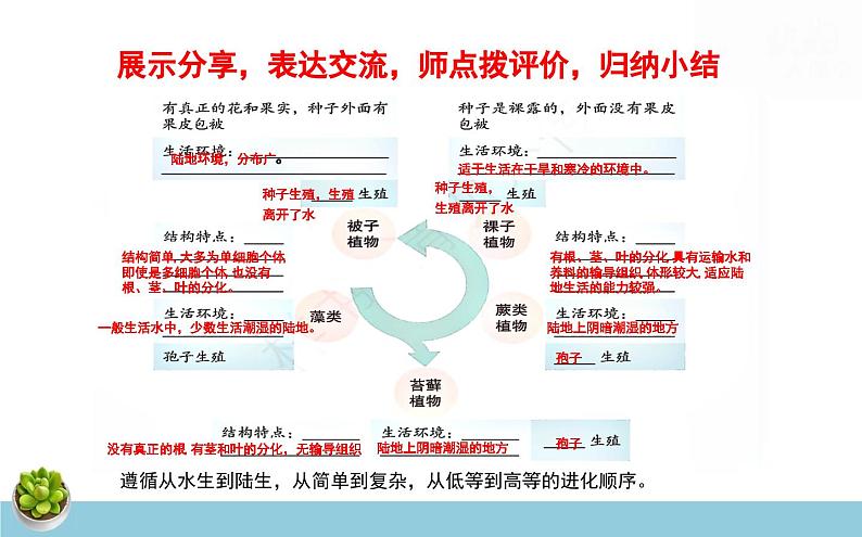 济南版(2024新版)七年级上册生物第二单元 多彩的生命世界 复习课件(3课时)第6页