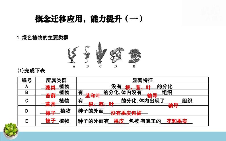 济南版(2024新版)七年级上册生物第二单元 多彩的生命世界 复习课件(3课时)第7页