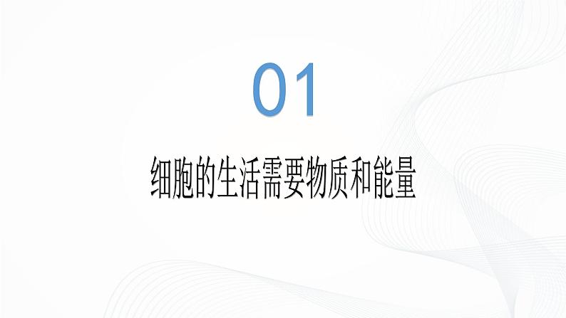 1.2.4 细胞的生活-初中生物七年级上册 同步教学课件+教学设计(人教版2024)05