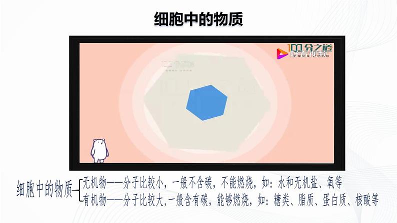 1.2.4 细胞的生活-初中生物七年级上册 同步教学课件+教学设计(人教版2024)06
