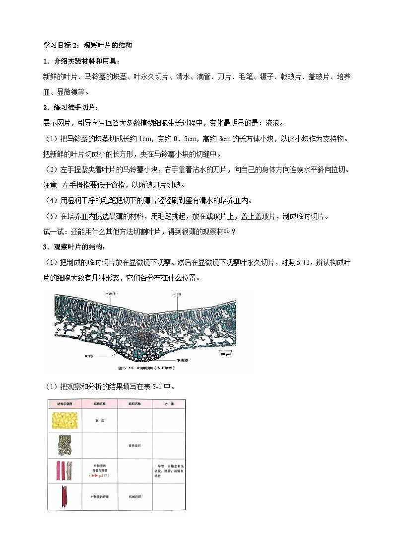 5.2 多细胞生物的结构层次(第1课时)-2024-2025学年七年级上册生物教学设计(苏科版2024)第3页