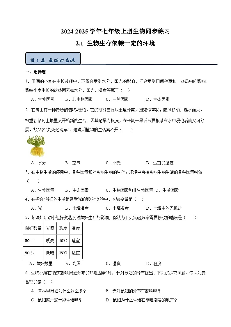2.1 生物生存依赖一定的环境-2024-2025学年七年级上册生物同步练习(苏科版2024)第1页