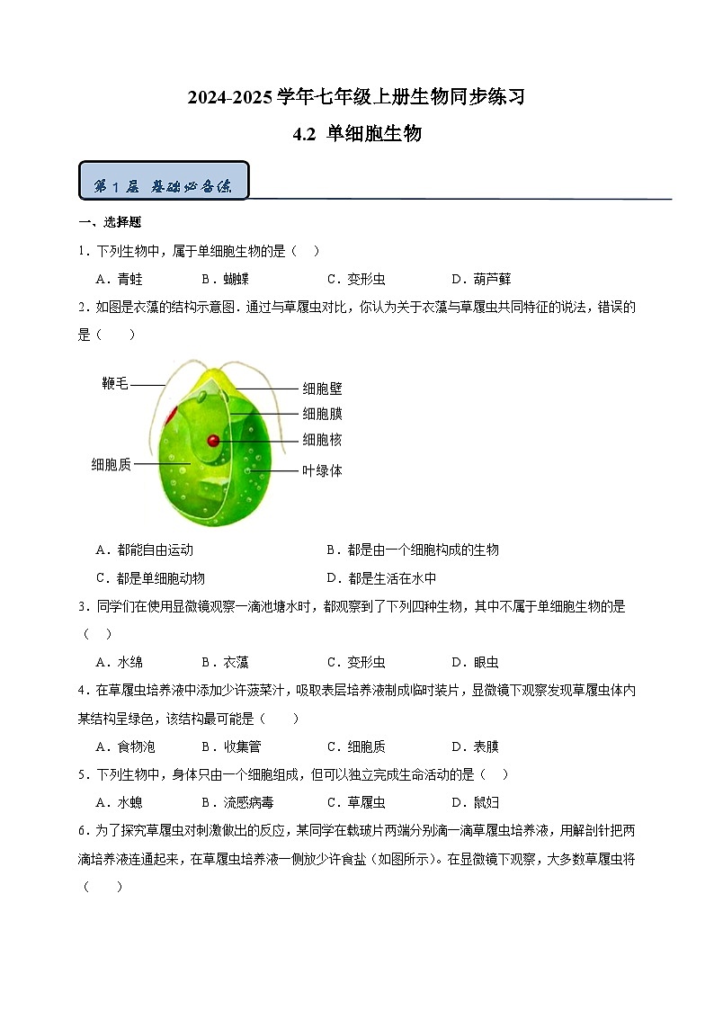 4.2 单细胞生物-2024-2025学年七年级上册生物同步练习(苏科版2024)01