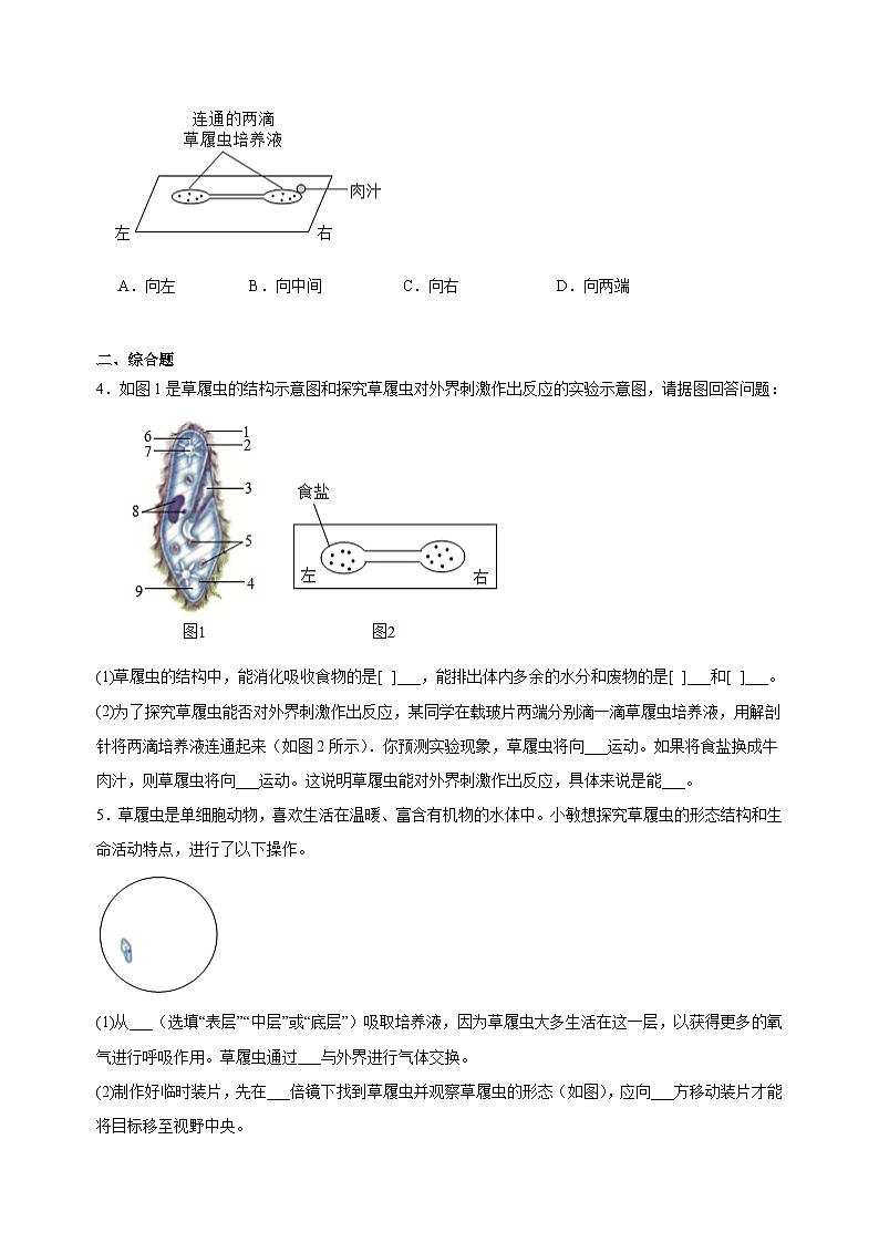4.2 单细胞生物-2024-2025学年七年级上册生物同步练习(苏科版2024)03