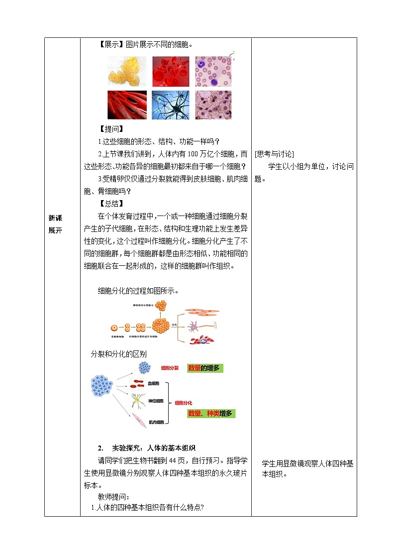 第一单元生物和细胞第三章从细胞到生物体第二节动物体的结构层次核心素养教案2024新人教版生物七年级上册02