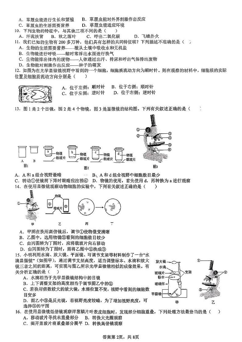 山东省日照港中学2024-2025学年七年级上学期10月月考生物试卷第2页