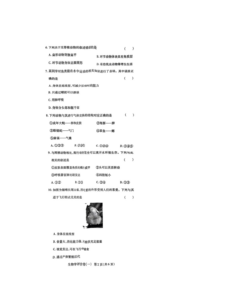 河南省南阳市南召县2024-2025学年八年级上学期10月月考生物试题第2页