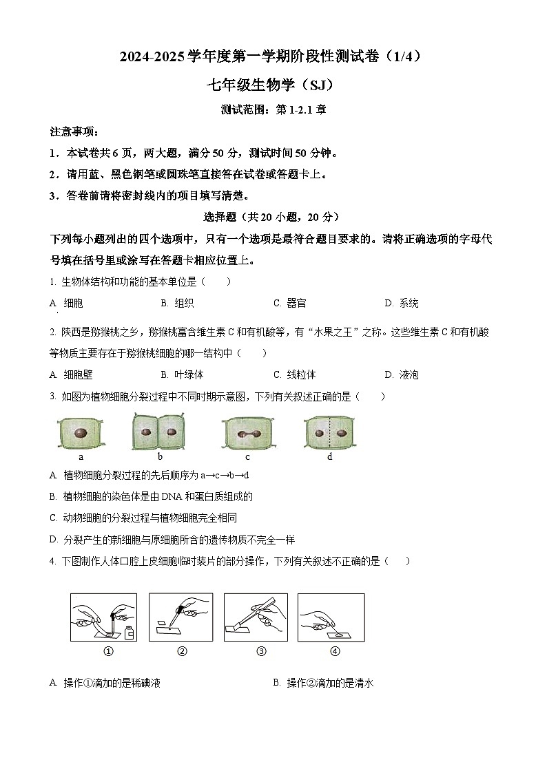 河南省平顶山市宝丰县名校联盟2024-2025学年七年级上学期9月月考生物试题第1页