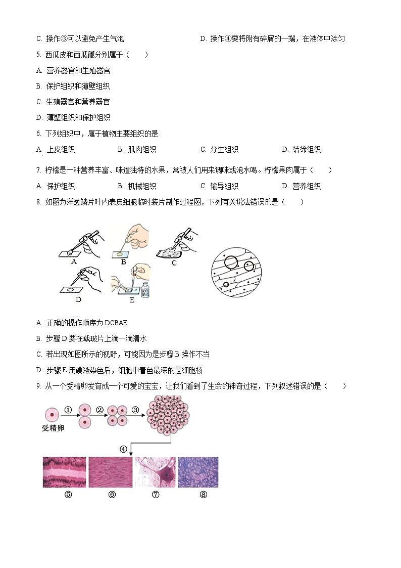 河南省平顶山市宝丰县名校联盟2024-2025学年七年级上学期9月月考生物试题第2页