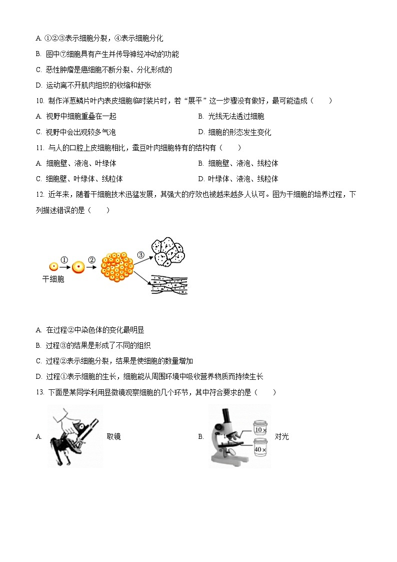 河南省平顶山市宝丰县名校联盟2024-2025学年七年级上学期9月月考生物试题第3页