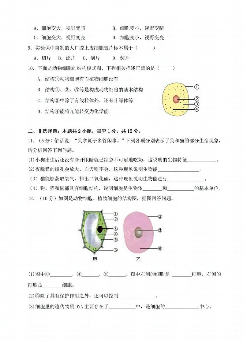 黑龙江省哈尔滨市萧红中学2024-2025学年七年级上学期10月份月考生物试题第2页