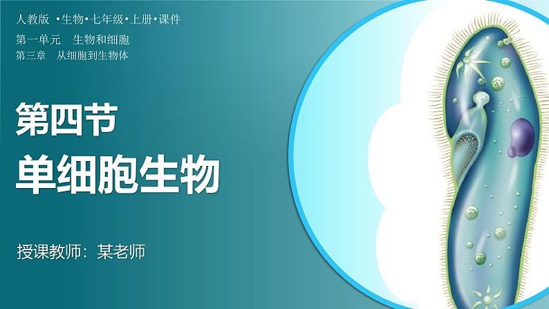 人教版生物七年级上册1.3.4《单细胞生物》(课件 )01