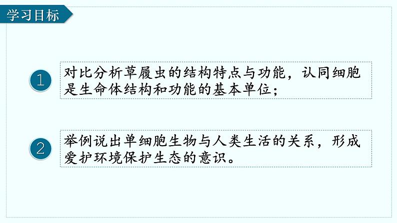 人教版生物七年级上册1.3.4《单细胞生物》(课件 )02