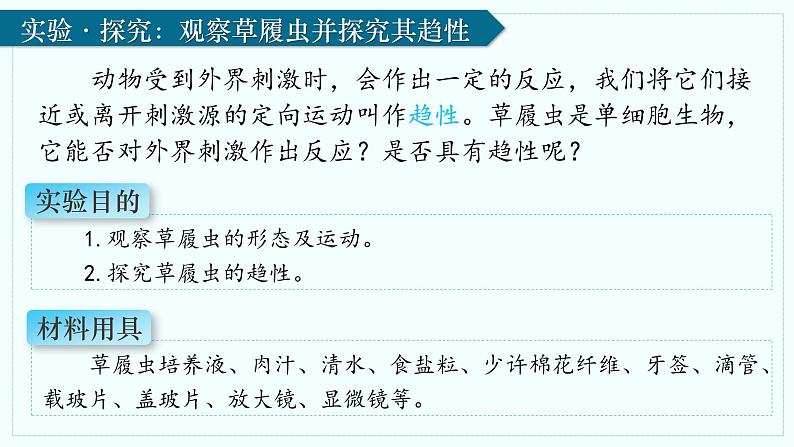 人教版生物七年级上册1.3.4《单细胞生物》(课件 )06