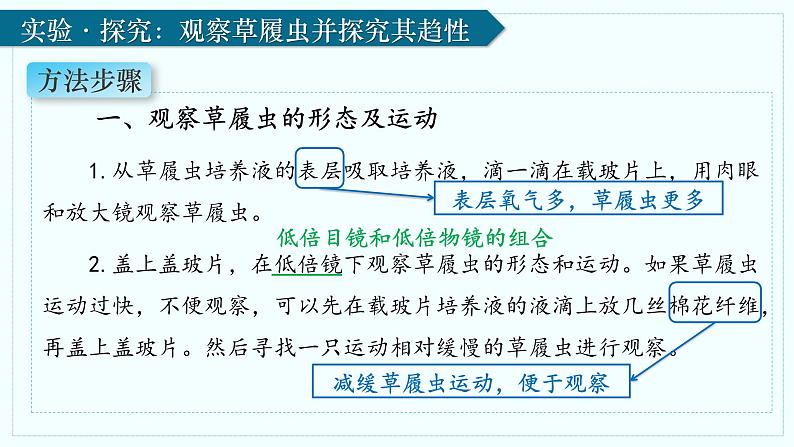 人教版生物七年级上册1.3.4《单细胞生物》(课件 )07