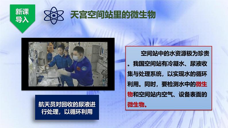 人教版生物七年级上册2.3.1《微生物的分布》课件第3页