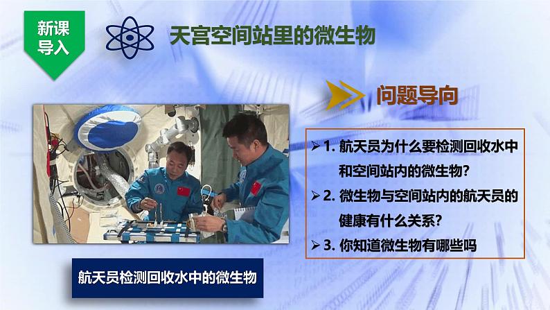 人教版生物七年级上册2.3.1《微生物的分布》课件第4页