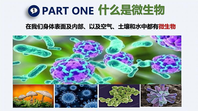 人教版生物七年级上册2.3.1《微生物的分布》课件第5页
