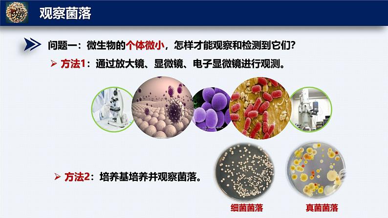 人教版生物七年级上册2.3.1《微生物的分布》课件第8页