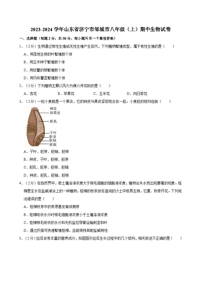山东省济宁市邹城市2023-2024学年八年级上学期期中生物试卷01