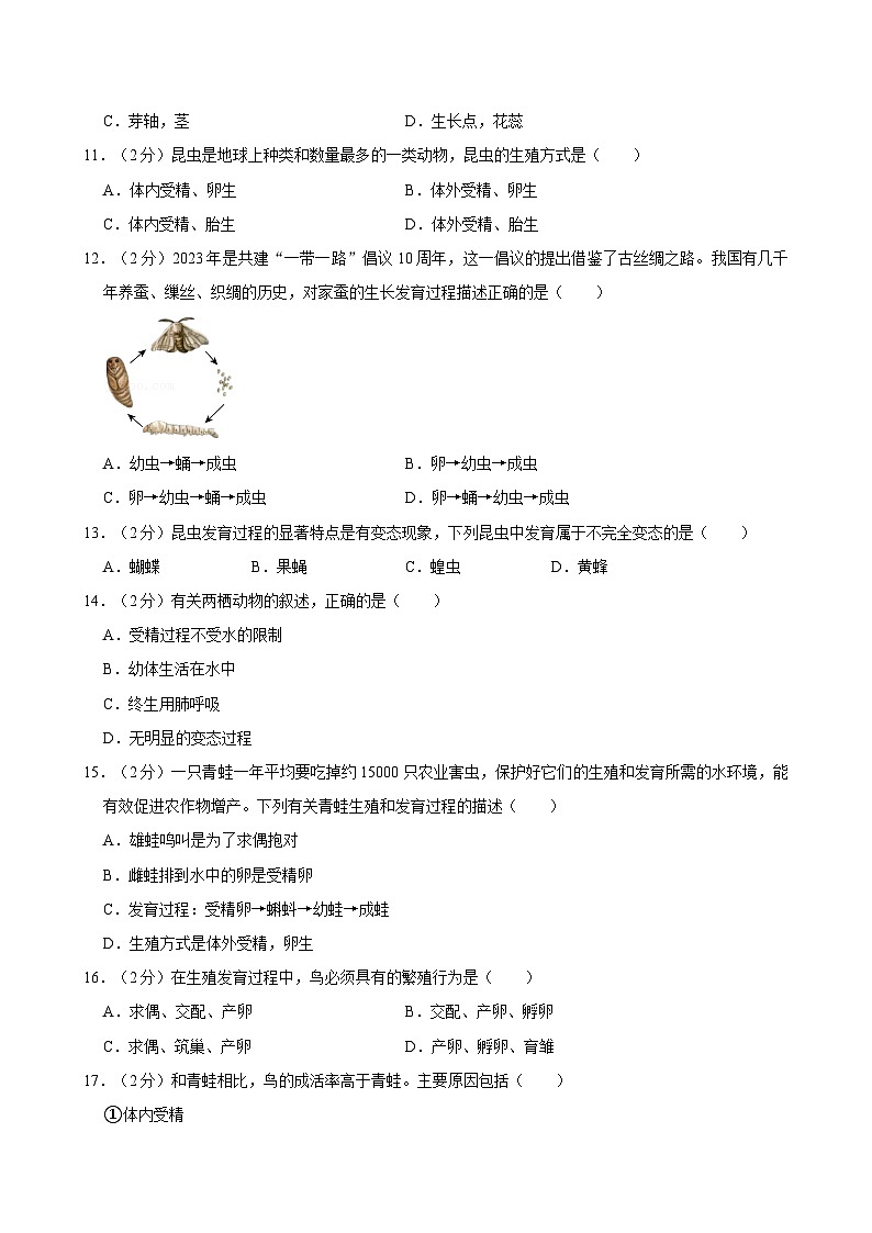 山东省济宁市邹城市2023-2024学年八年级上学期期中生物试卷03