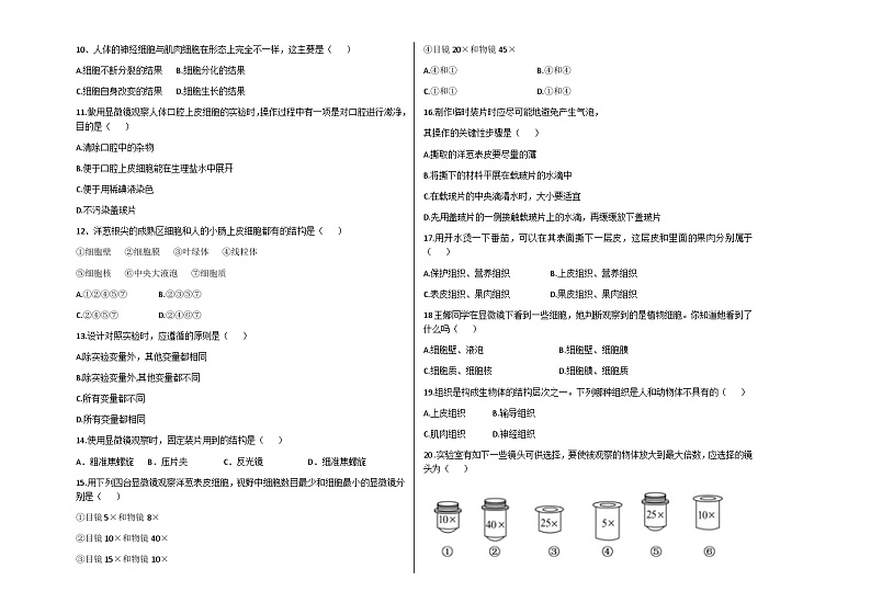 山东省宁津县西塘中学2024-2025学年七年级上学期第一次月考生物试题第2页