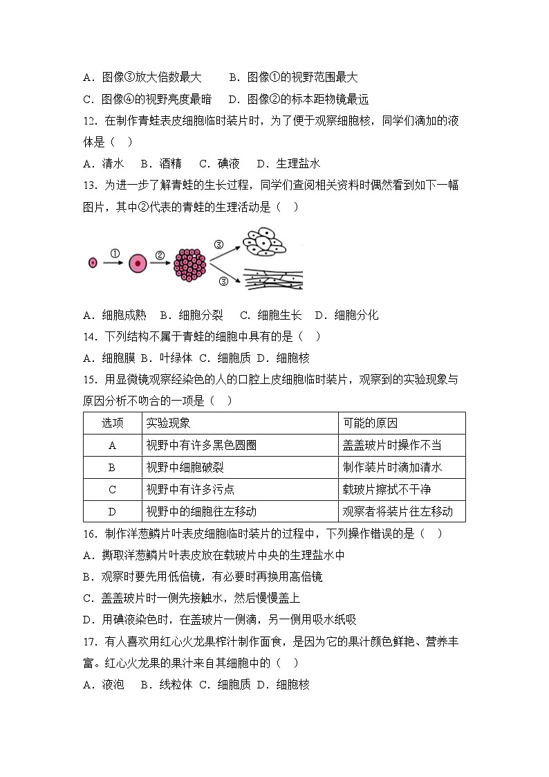 广东省江门市恩平市圣堂中学2024-2025学年七年级上学期10月月考生物试题03