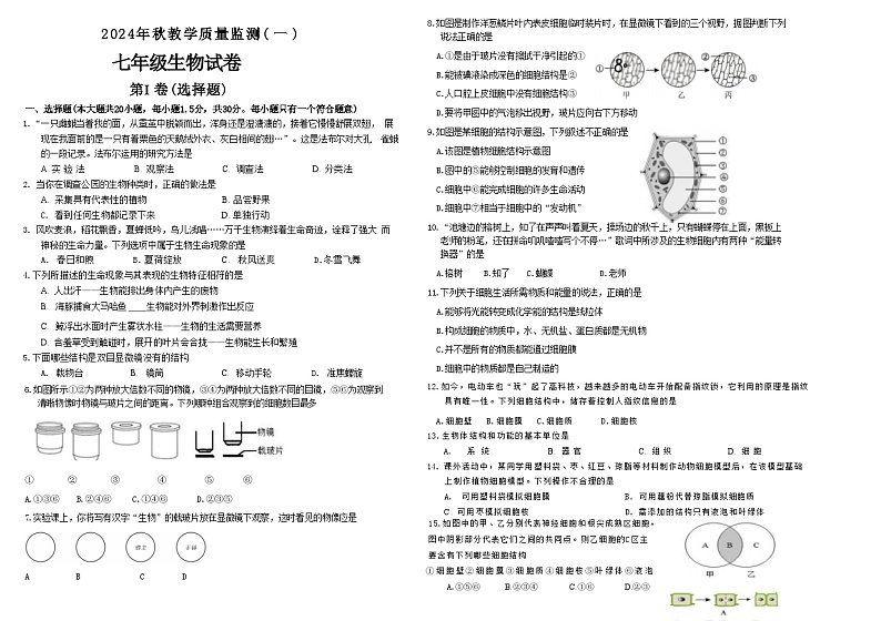 四川省德阳市中江县2024—-2025学年七年级上学期10月月考生物试题01
