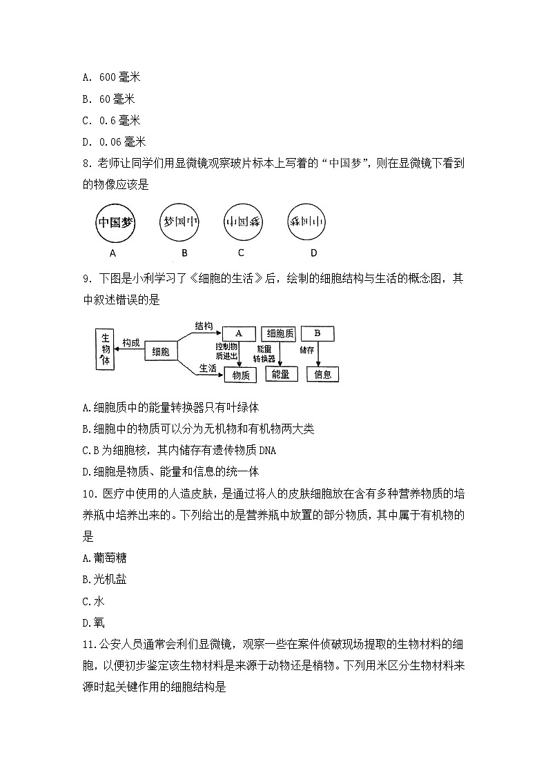 山西省太原市晋源区实验中学校2024-2025学年七年级上学期10月月考生物试题第3页