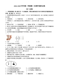 内蒙古鄂尔多斯市东胜区实验中学2024-2025学年八年级上学期10月月考生物试题(无答案)
