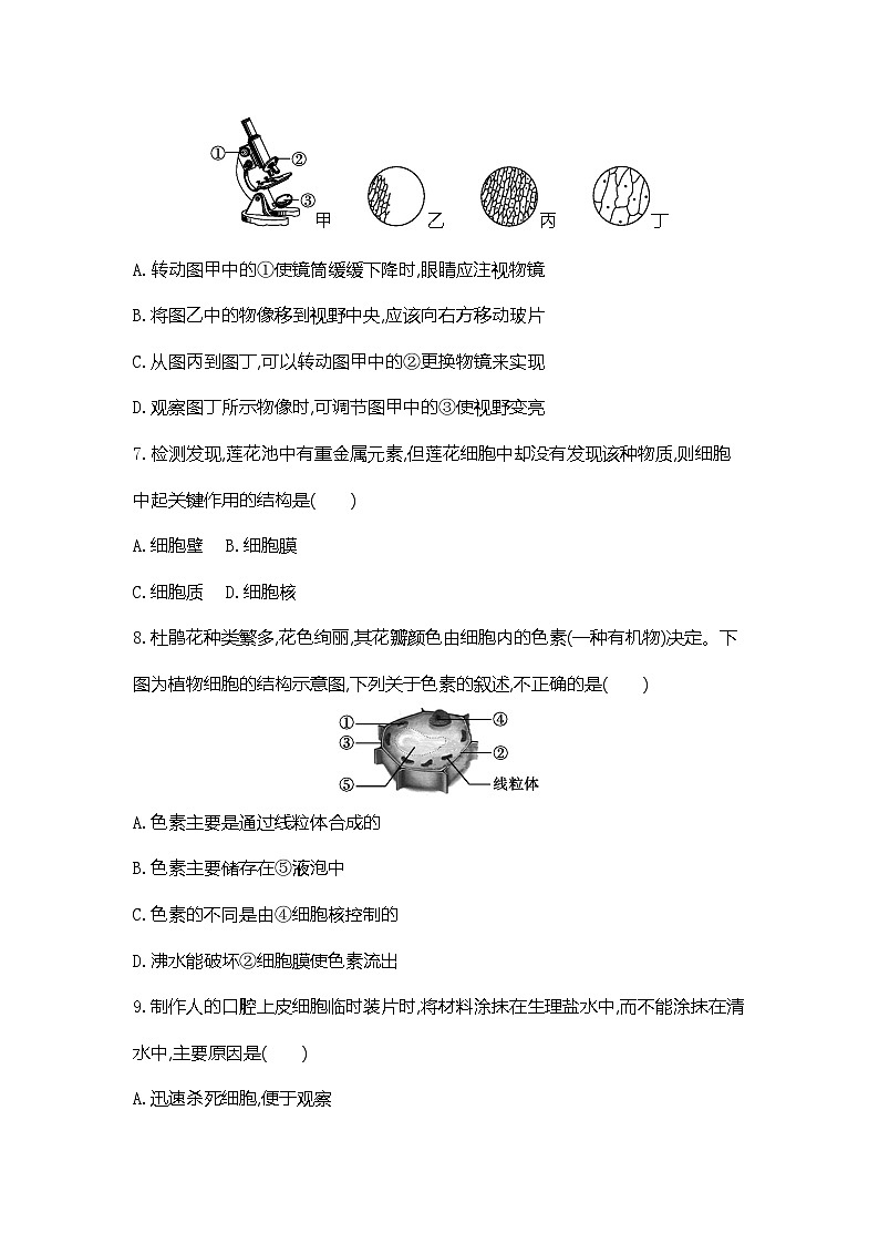 人教版(2024新版)七年级上册生物期中复习综合模拟测试卷(含答案)第3页