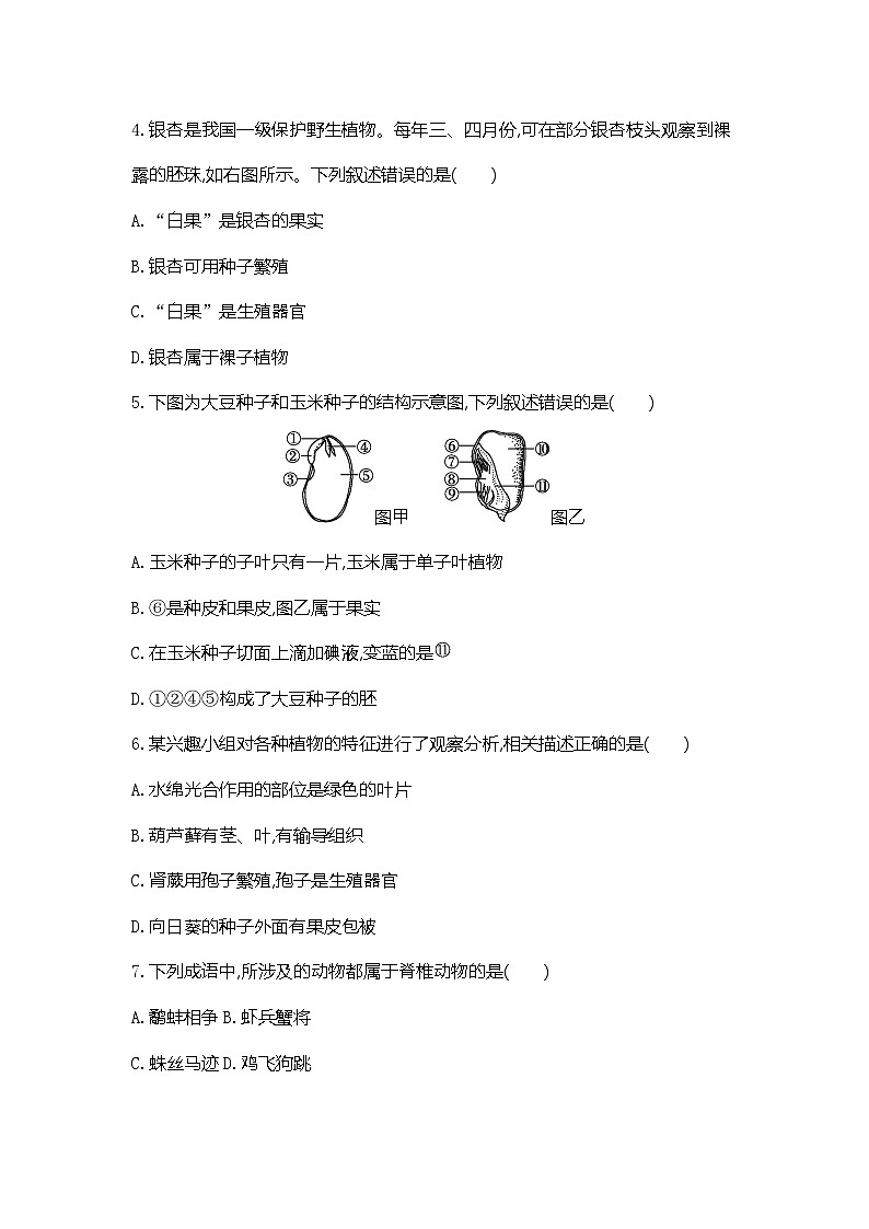 人教版(2024新版)七年级上册生物第二单元第一、二章综合测试卷(含答案)第2页