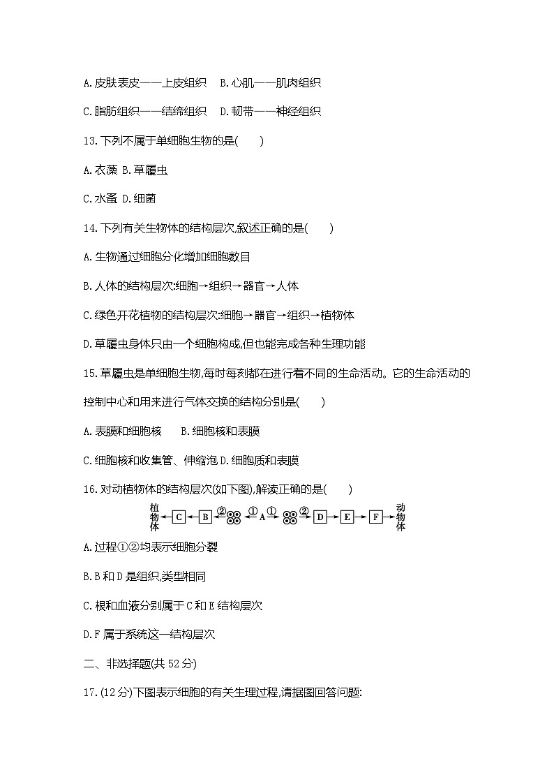 人教版(2024新版)七年级上册生物阶段检测(第一单元第二、三章)综合测试卷(含答案)第3页