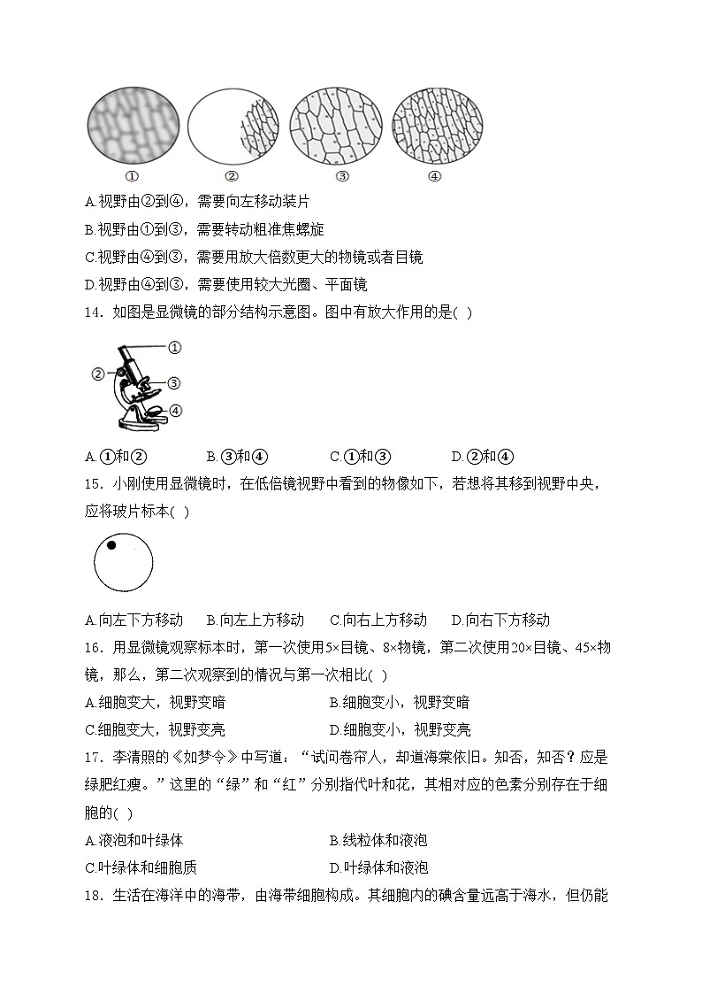 富顺第二中学校2024-2025学年七年级上学期第一次月考生物试卷(含答案)03