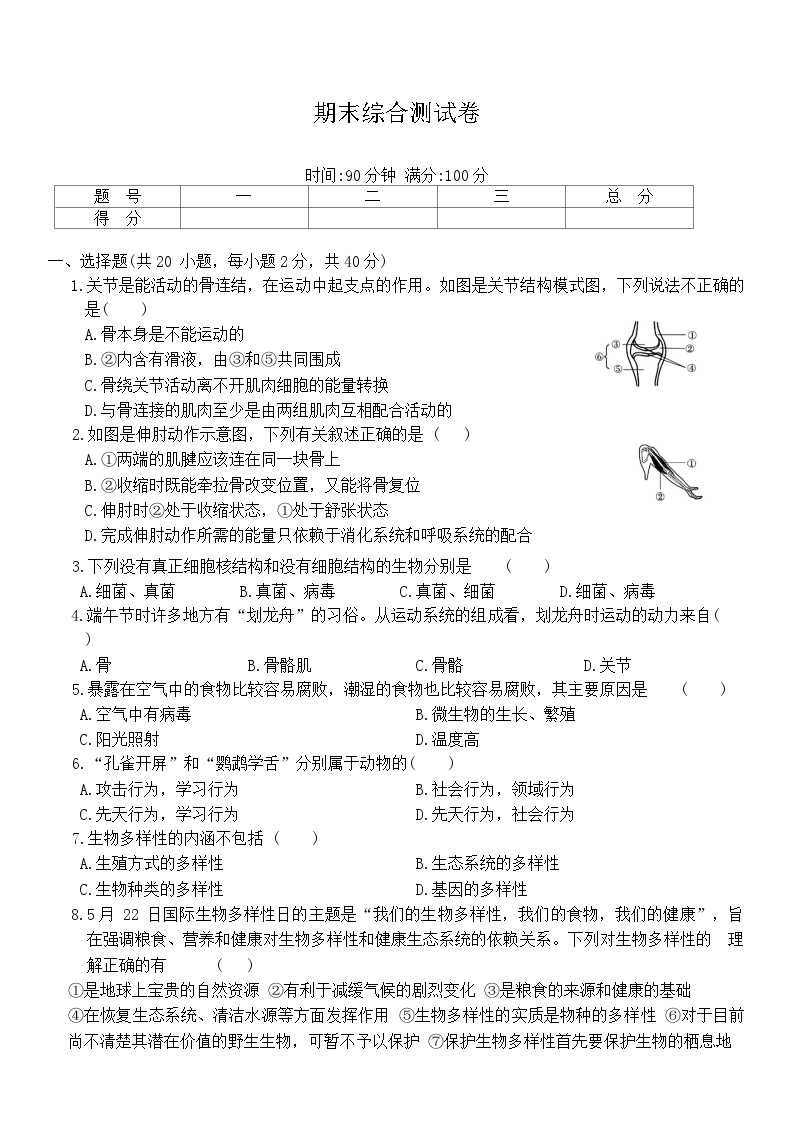 2024-2025学年人教版生物八年级上册期末综合测试卷