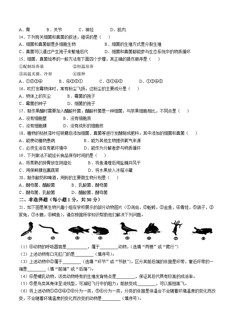 吉林省白城市多校2024-2025学年八年级上学期期中考试生物试题(无答案)第2页