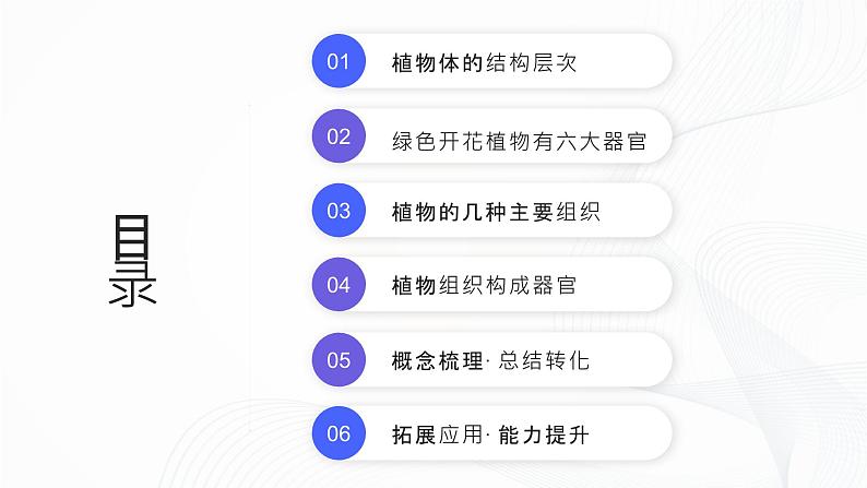 1.3.3 植物体的结构层次-初中生物七年级上册 同步教学课件(人教版2024)第2页