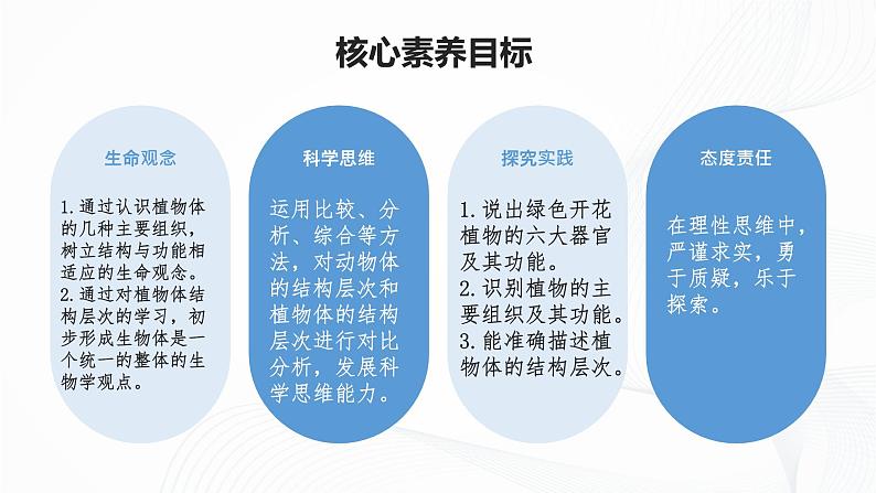 1.3.3 植物体的结构层次-初中生物七年级上册 同步教学课件(人教版2024)第4页