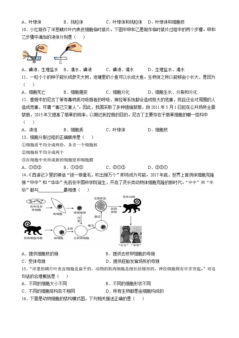 山东省青岛即墨区某校2024-2025学年七年级上学期第一次月考生物试题(无答案)02