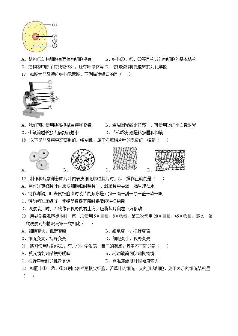 山东省青岛即墨区某校2024-2025学年七年级上学期第一次月考生物试题(无答案)03