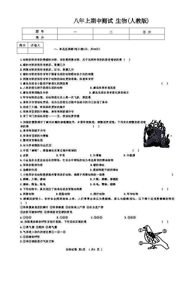 吉林省长春市九台区多校2024-2025学年八年级上学期期中生物试题第1页