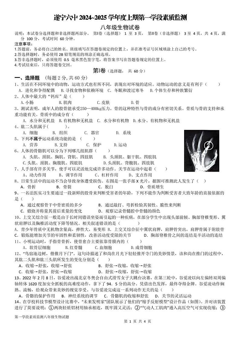 四川省遂宁市第六中学2024-2025学年八年级上学期10月月考生物试题01