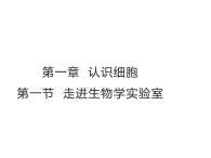 1.1.1  走进生物学实验室（第一课时）课件---2024-2025学年苏教版（2024版）七年级生物上册