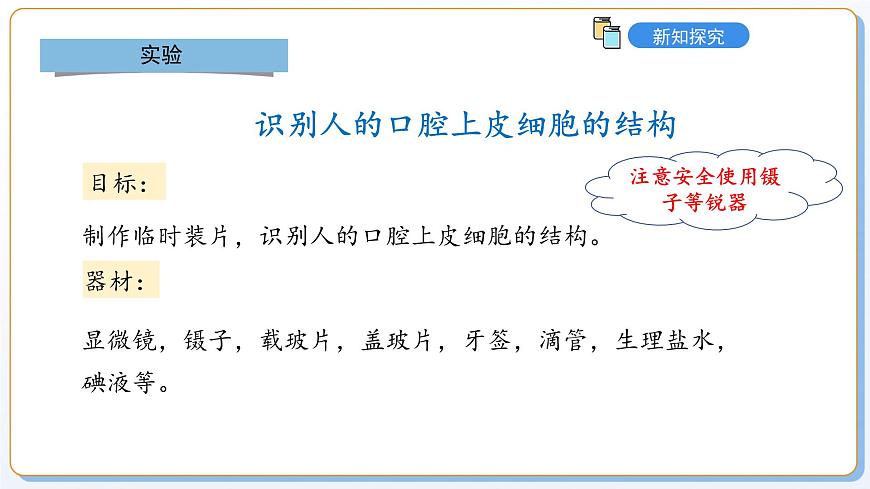 1.1.2動物細(xì)胞的結(jié)構(gòu)與功能課件2024-2025學(xué)年蘇教版（2024版）七年級生物上冊第5頁